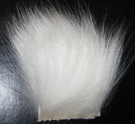 ������� ���������� ����� / white